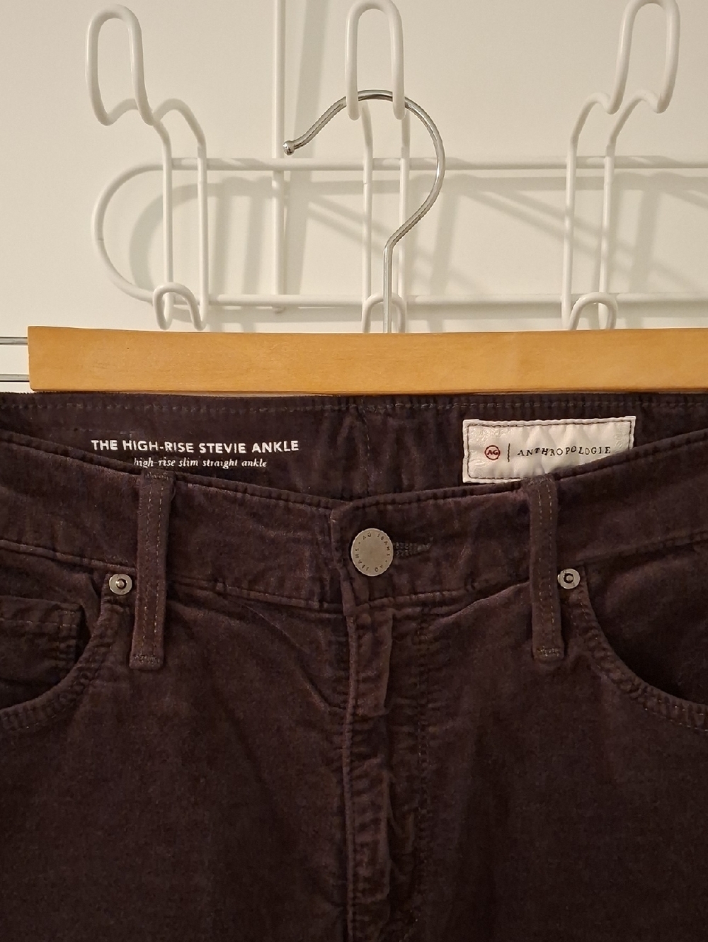 Agolde (Anthropologie) Chocolate Brown Velvet High-rise Stevie Jeans (Size 27)